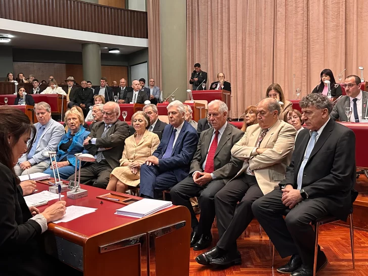 homenaje-de-la-Legislatura-del-Chubut-a-los-convencionales-constituyentes-de-la-reforma-de-1994-3-728x546