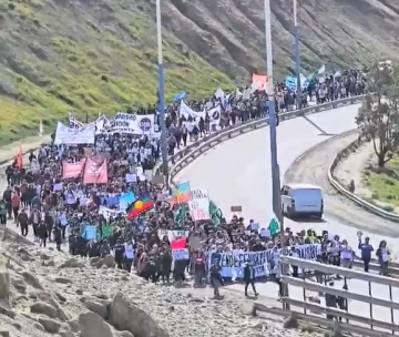 Multitudinaria marcha universitaria en Comodoro Rivadavia 