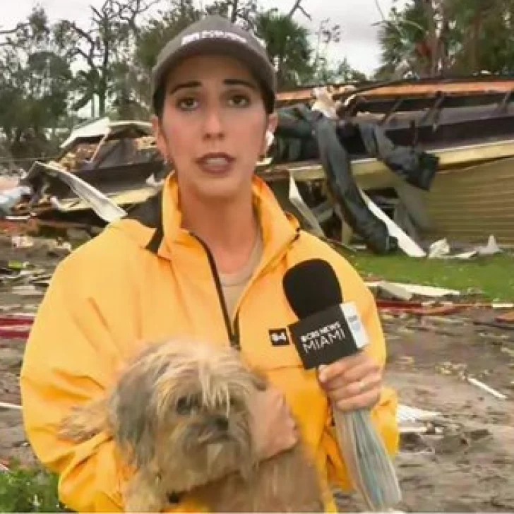 Una periodista rescató a perrita en vivo: su dueño murió tras el paso del huracán Milton en Florida