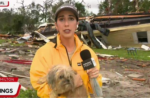 Una periodista rescató a perrita en vivo: su dueño murió tras el paso del huracán Milton en Florida