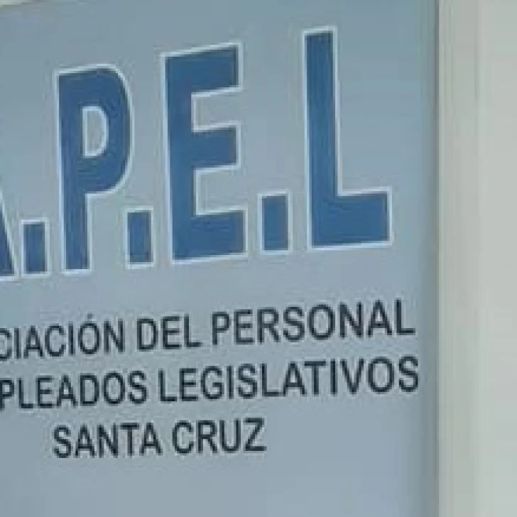 En APEL se votan delegados