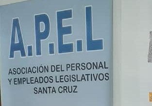 En APEL se votan delegados