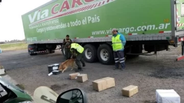 Desde Misiones a Santa Cruz: recibieron una encomienda con casi treinta kilos de marihuana y los condenaron