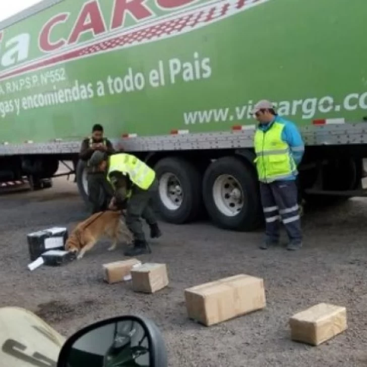 Desde Misiones a Santa Cruz: recibieron una encomienda con casi treinta kilos de marihuana y los condenaron