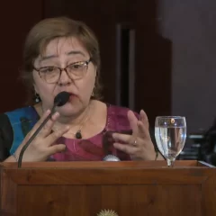 “En Santa Cruz está de moda la falsa denuncia”: el testimonio de la mamá de Facundo Días en el Senado