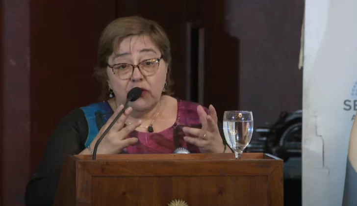 “En Santa Cruz está de moda la falsa denuncia”: el testimonio de la mamá de Facundo Díaz en el Senado