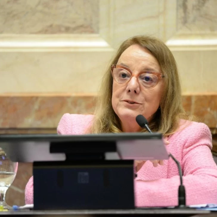 Alicia Kirchner dijo que la transformación de YCRT en Sociedad Anónima es “una película de terror de los 90”