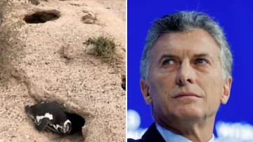 Mauricio Macri condenó la masacre de pingüinos en Punta Tombo: “Se necesitan leyes específicas”