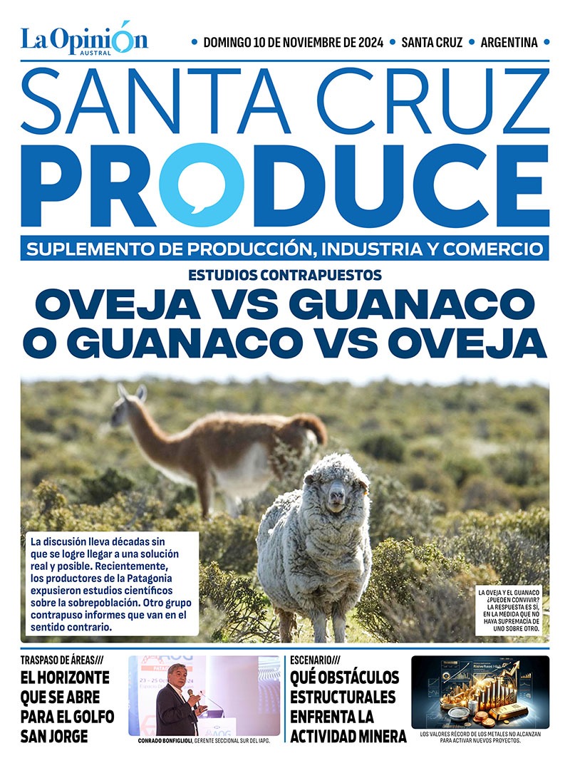 Tapa-Santa-Cruz-Produce-domingo-10-de-noviembre-544x728