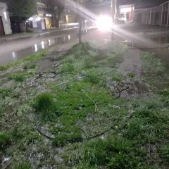 Alerta en Río Gallegos: cables se cayeron por el temporal y quedaron sumergidos en un charco