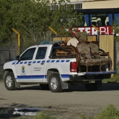 Detalles exclusivos. Nueve detenidos por desvalijar la casa de una mujer que había fallecido en Río Gallegos