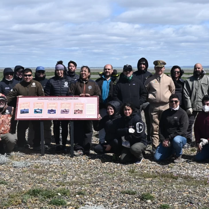 Ambiente Sur inauguró un mirador y cartelería en Punta Loyola