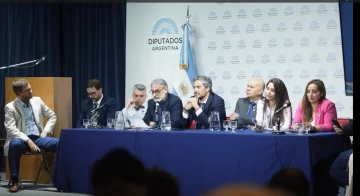 La oposición reclamó en el Congreso una política de Estado para la Cuestión Malvinas