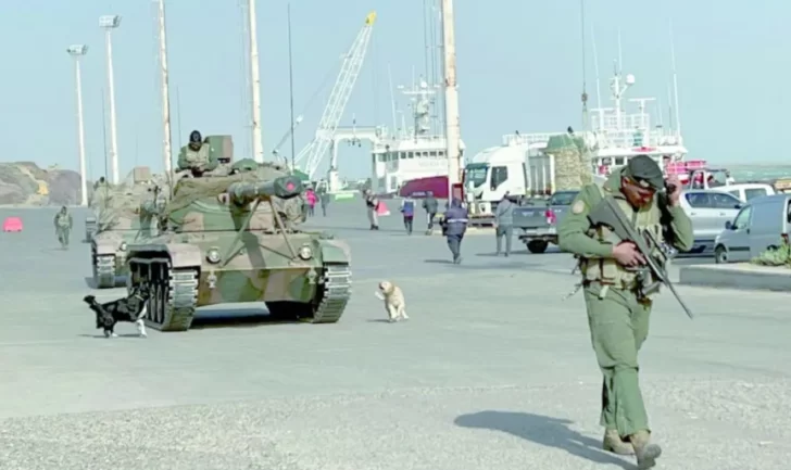 De La Plata a Río Gallegos: El Ejército Argentino realiza importante despliegue para la “planificación defensiva”