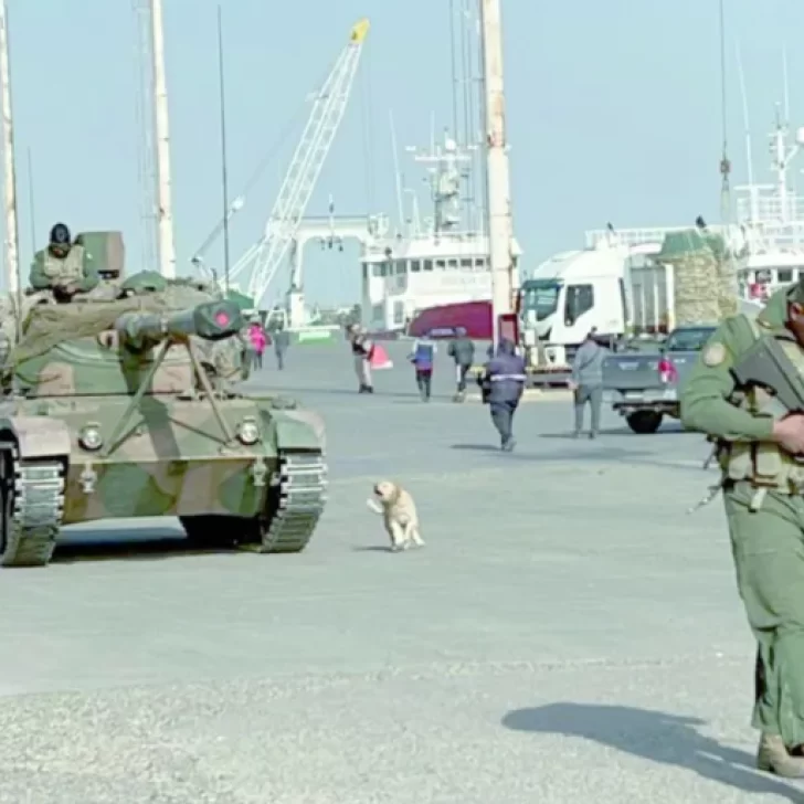 De La Plata a Río Gallegos: El Ejército Argentino realiza importante despliegue para la “planificación defensiva”