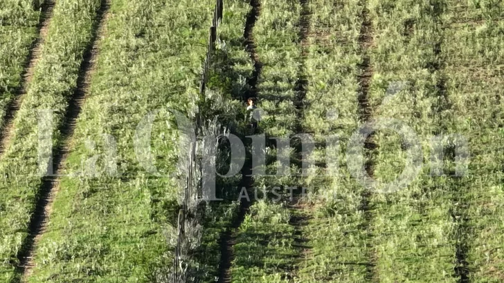 la-pampa-encuentran-nena-desaparecida-2-728x410