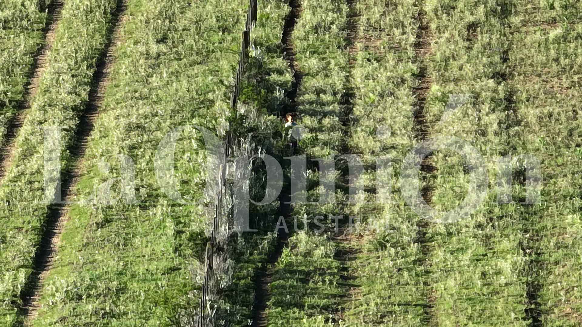 la-pampa-encuentran-nena-desaparecida-2-728x410