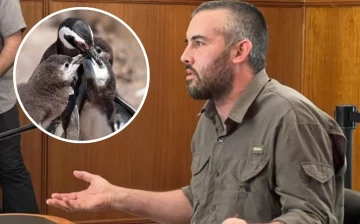 Ricardo La Regina fue declarado culpable de la matanza de pingüinos en Punta Tombo