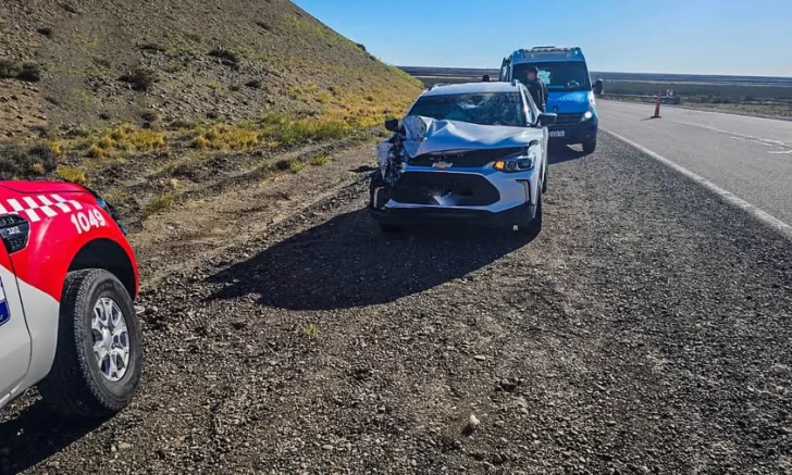 Dos personas con lesiones tras haber chocado contra un guanaco en el interior de Santa Cruz