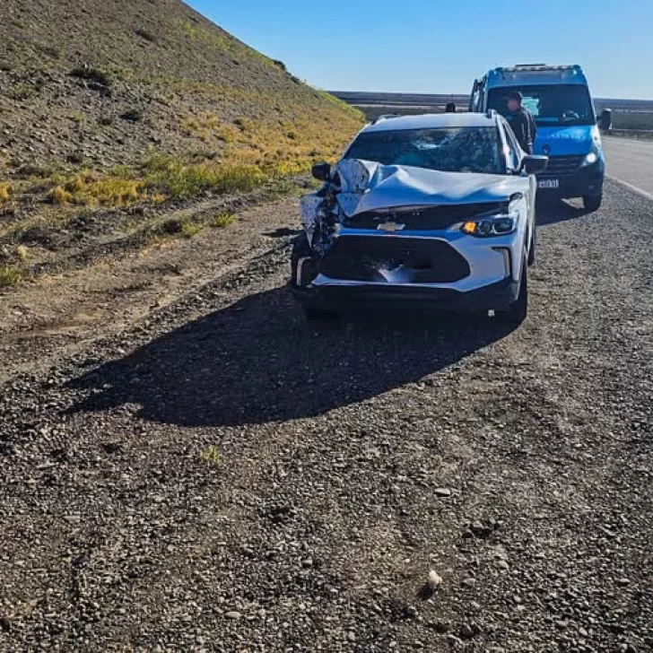 Dos personas con lesiones tras haber chocado contra un guanaco en el interior de Santa Cruz