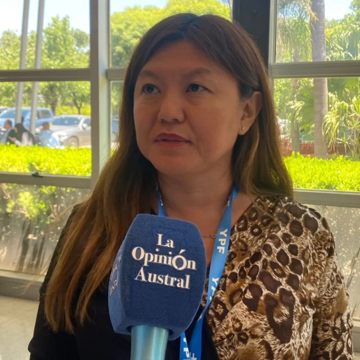 Verónica Nohara: “La minería está ocupando el lugar que se merece” Verónica Nohara: “La minería está ocupando el lugar que se merece”