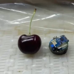 Una “cereza electrónica” impresa en 3D permite mejorar la calidad de la fruta