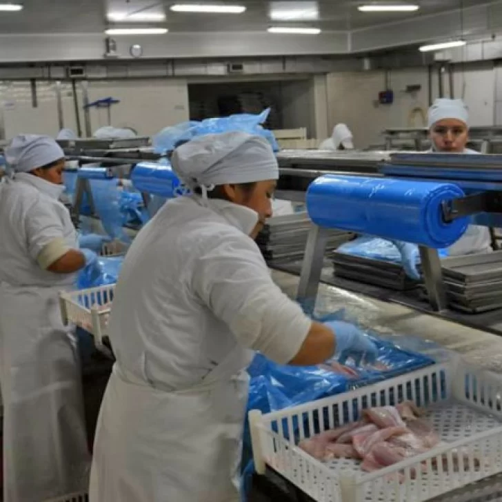 Explanta de Barillari: Denuncias y actuaciones judiciales Explanta de Barillari: Denuncias y actuaciones judiciales