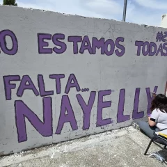 Búsqueda de Nayelly: convocatoria, mural y las palabras de la madre a más de 40 días de ausencia