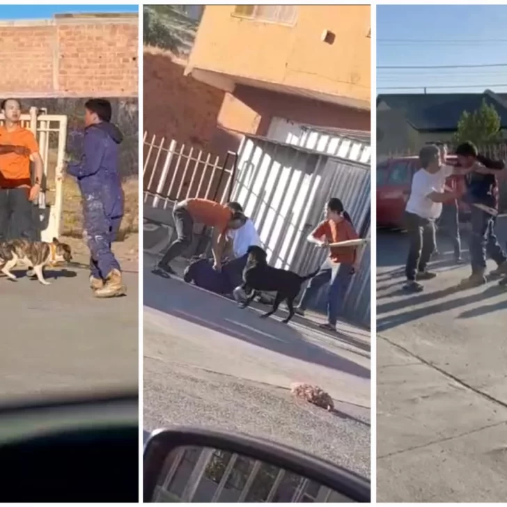 Dueños de un supermercado chino le dieron una paliza a un criollo que quiso robar un paquete de yerba