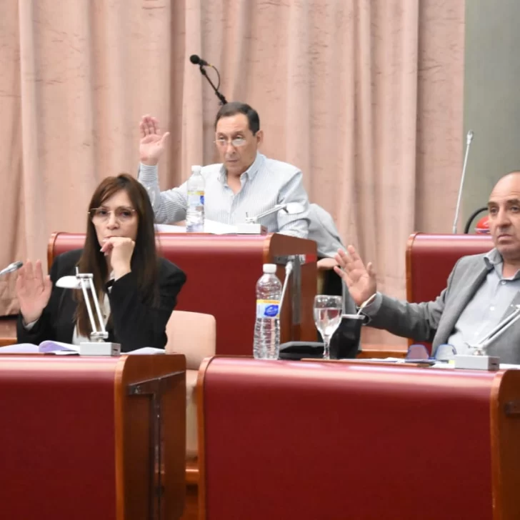 Chubut: la Legislatura aprobó la nueva Ley Orgánica de Partidos Políticos