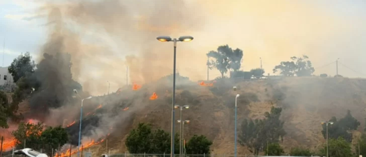 Impresionante incendio en pastizales de Comodoro Rivadavia: inició por uso de pirotecnia