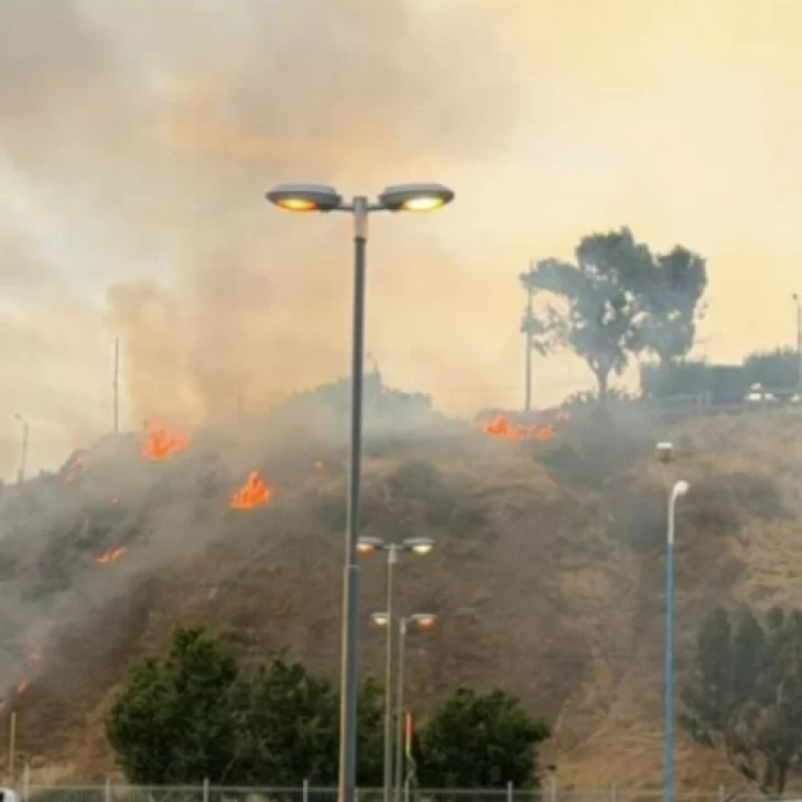 Impresionante incendio en pastizales de Comodoro Rivadavia: inició por uso de pirotecnia