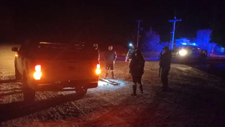 Caza en Santa Cruz: el DORCO decomisó cuatro guanacos, secuestró un arma y dos cuchillos