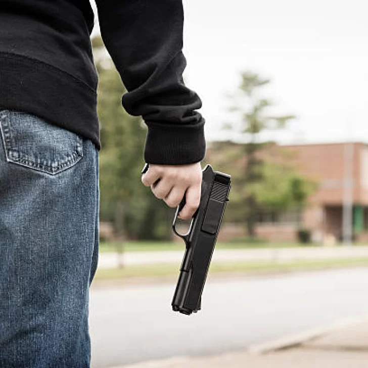 Javier Milei redujo la edad mínima para portar armas a 18 años