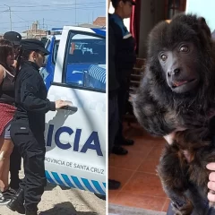 Video. Rescataron a un mono carayá que estaba cautiverio: hay dos personas detenidas por maltrato animal