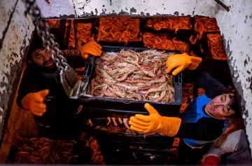 Pesca: Argentina aprobó un nuevo plan de manejo del langostino