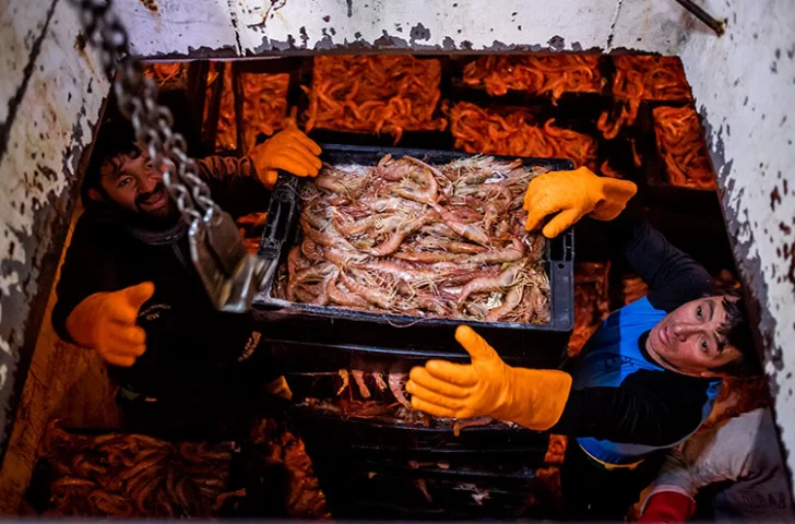 Pesca: Argentina aprobó un nuevo plan de manejo del langostino