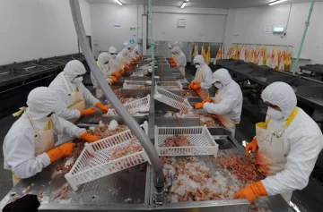 Chubut solicitó que la pesca sea eximida de derechos de exportación