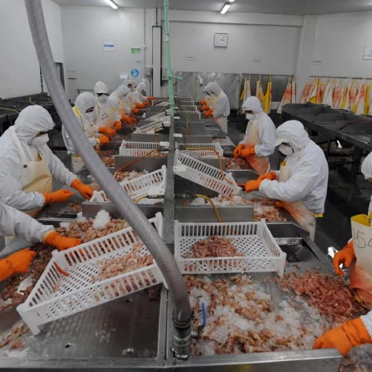 Chubut solicitó que la pesca sea eximida de derechos de exportación