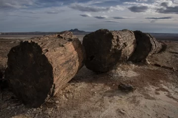 Parque Nacional Bosques Petrificados de Jaramillo cumplió 12 años