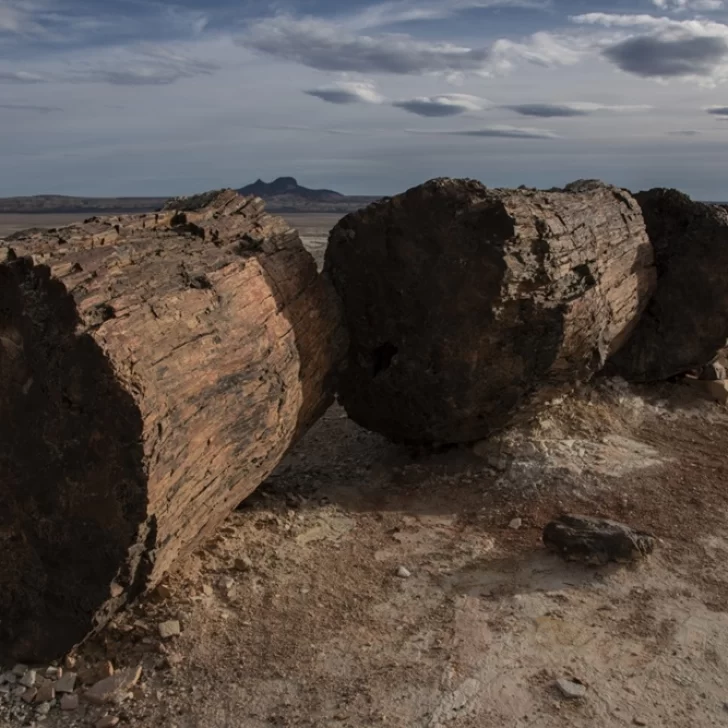 Parque Nacional Bosques Petrificados de Jaramillo cumplió 12 años