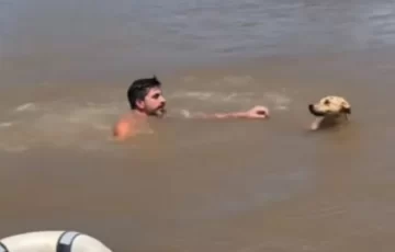 Un hombre se arrojó al río en el Delta para salvar a un perro
