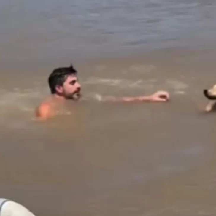Un hombre se arrojó al río en el Delta para salvar a un perro