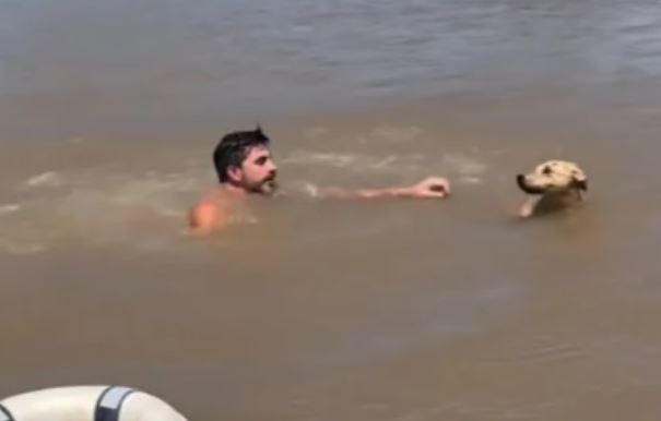 Un hombre se arrojó al río en el Delta para salvar a un perro