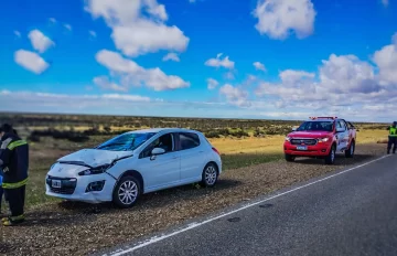 Un guanaco se les cruzó en la Ruta Nacional N° 3 y lo embistieron: se salvaron de milagro