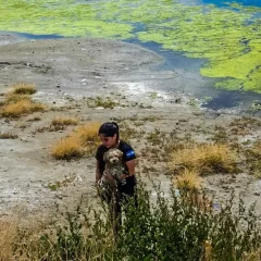 Salvaron a un perrito que no podía salir de una laguna en Caleta Olivia