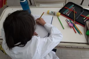 Suspensión de clases en Santa Cruz: por qué circula una fake news en medio de la alerta