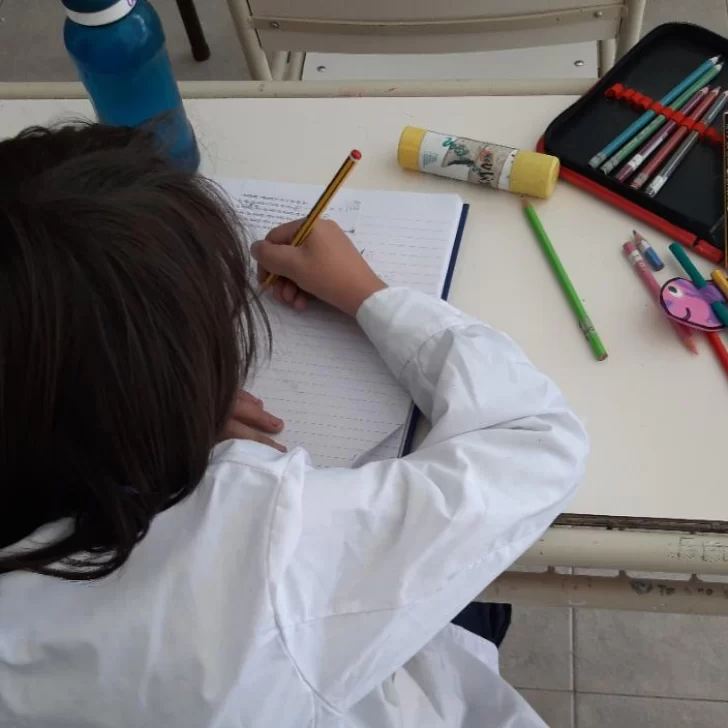 Suspensión de clases en Santa Cruz: por qué circula una fake news en medio de la alerta Suspensión de clases en Santa Cruz: por qué circula una fake news en medio de la alerta