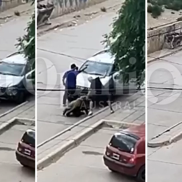 Video. Así fue la brutal golpiza en medio del tiroteo en Caleta Olivia Video. Así fue la brutal golpiza en medio del tiroteo en Caleta Olivia