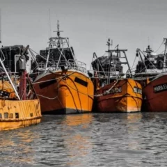 Veda temporal para el langostino en aguas provinciales de Chubut